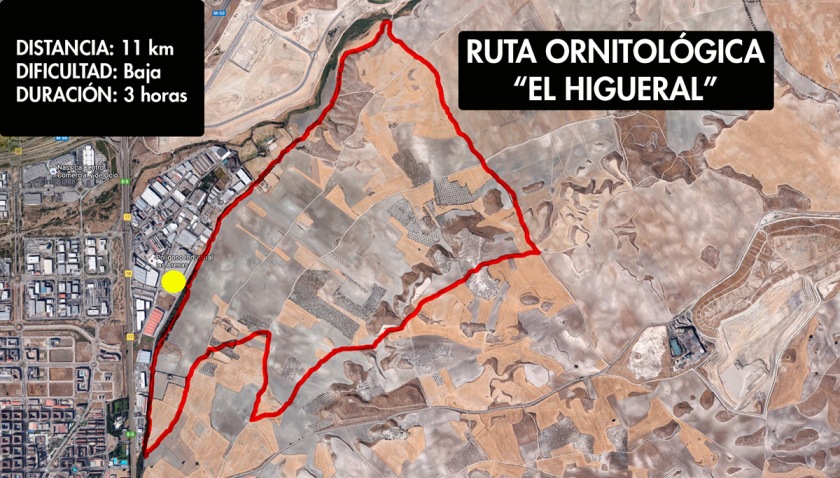 Ruta-Ornitologica-El-Higueral